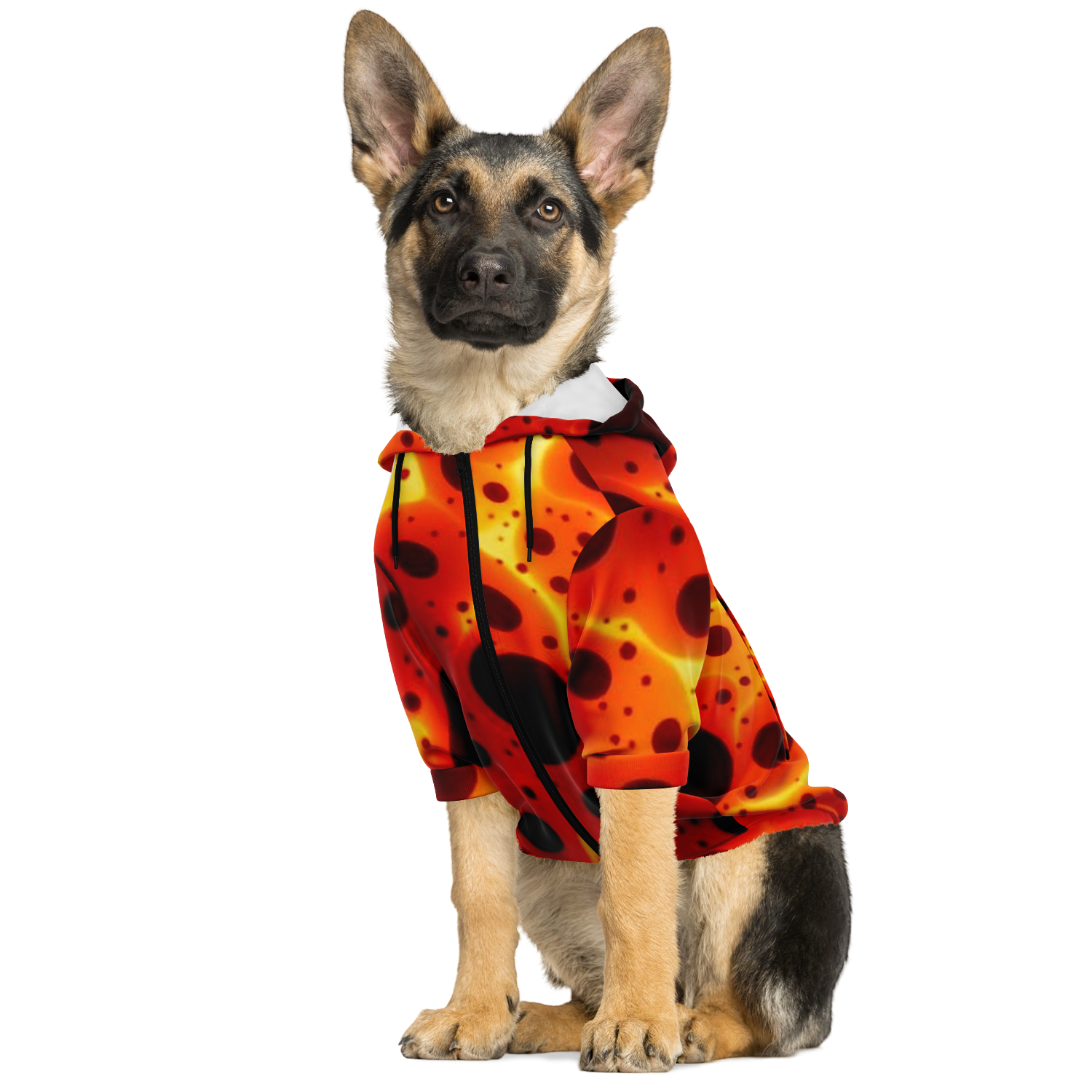Hot Dawg - PetHoodie